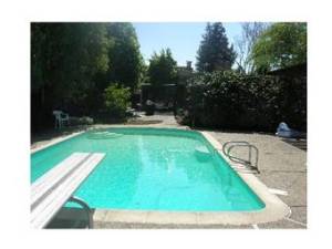 뒷마당수영장, 이렇게보니 엄청 좋아보이지만 그리 크지않다